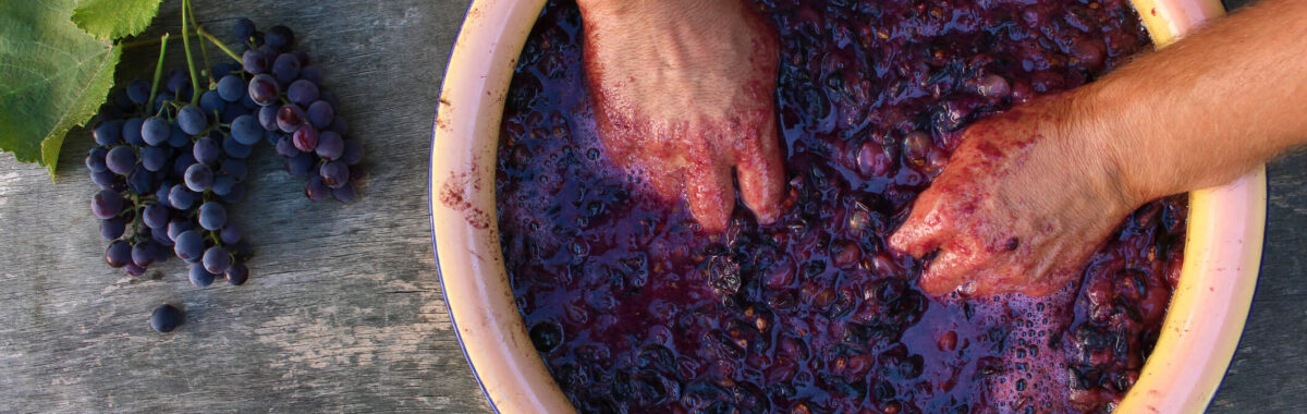 Concept of making homemade red wine.